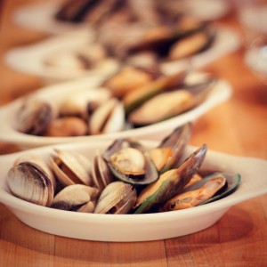 clams