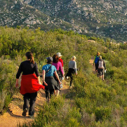 Seven Mile Mountain Breakfast Hike