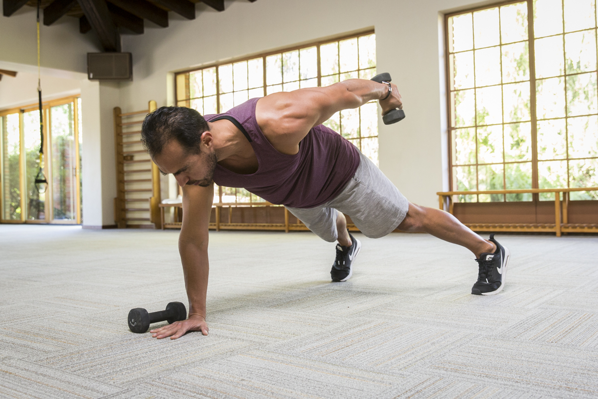 dumbbell plank row