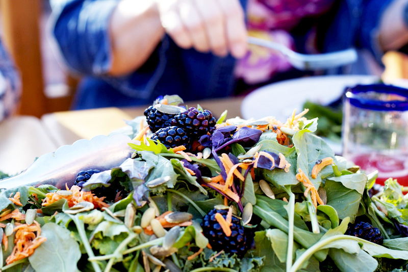 Farm-to-Table Blackberry Salad Recipe