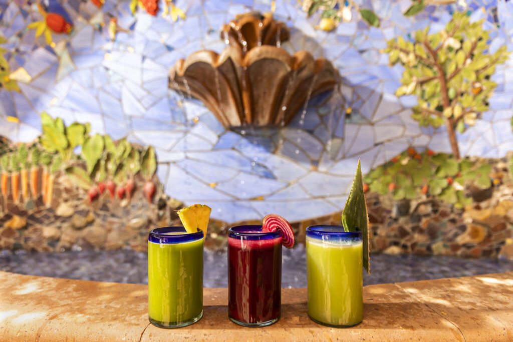 Health Benefits of Juicing