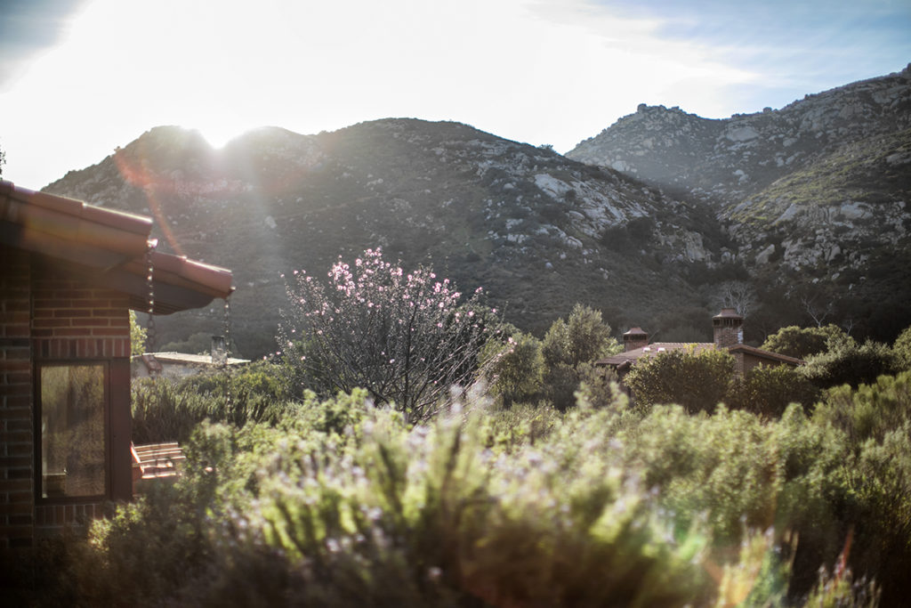 February at Rancho La Puerta