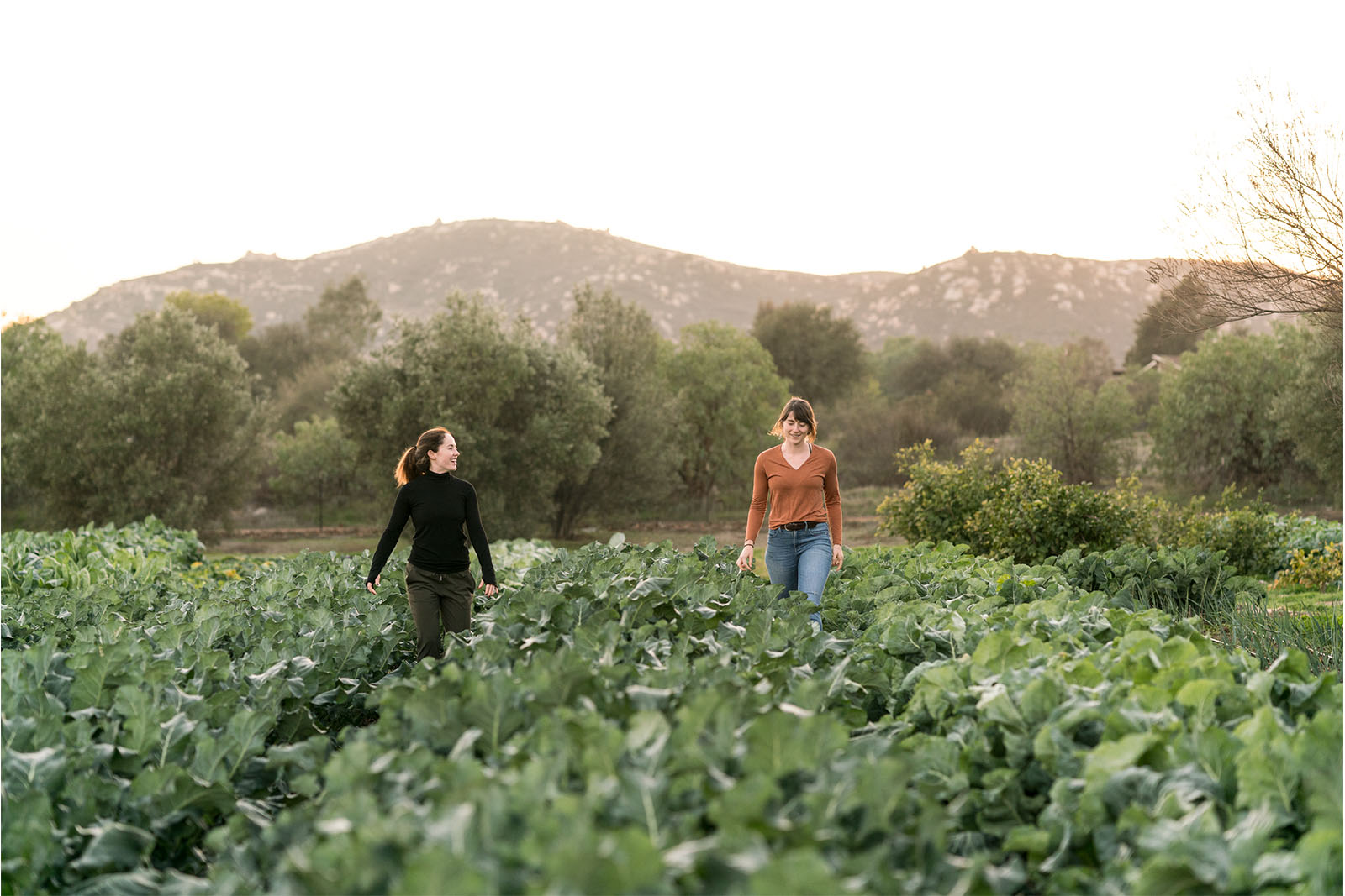 Eat Your Greens Organic Farm