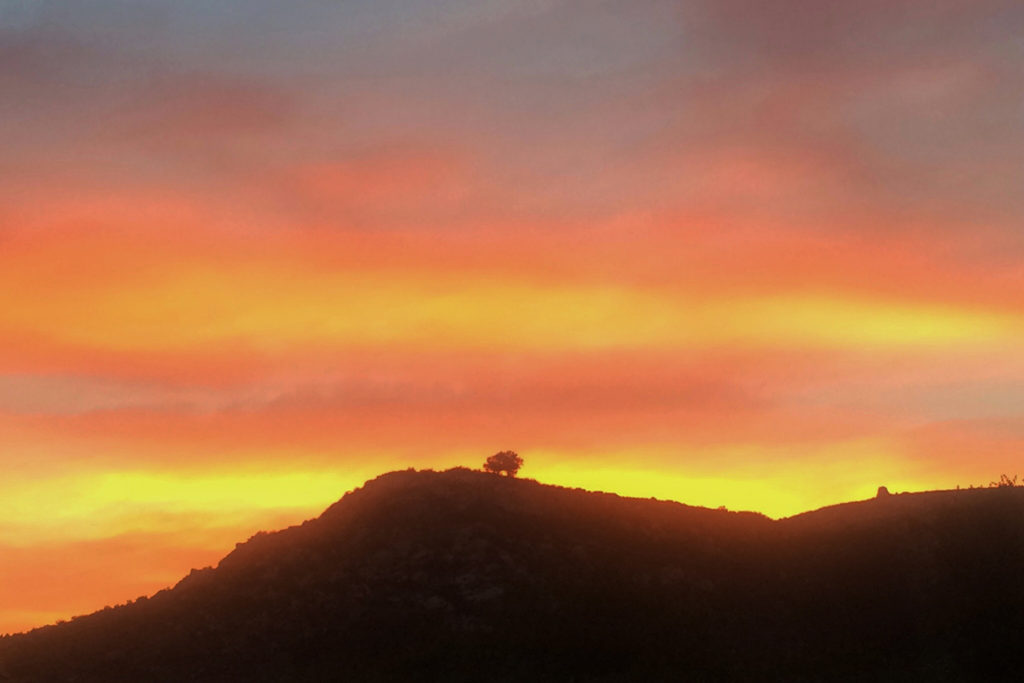 January at Rancho La Puerta