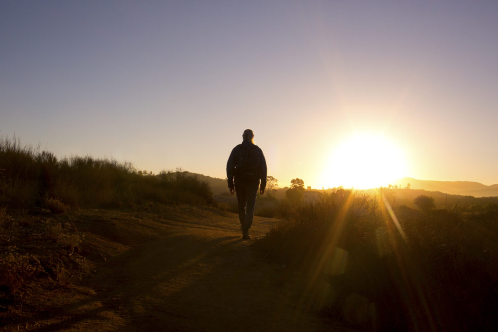 The New Detox Massage at Rancho La Puerta