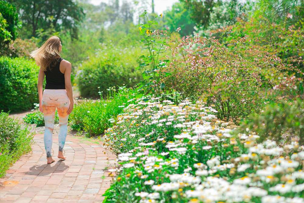 Landscape Garden Walk