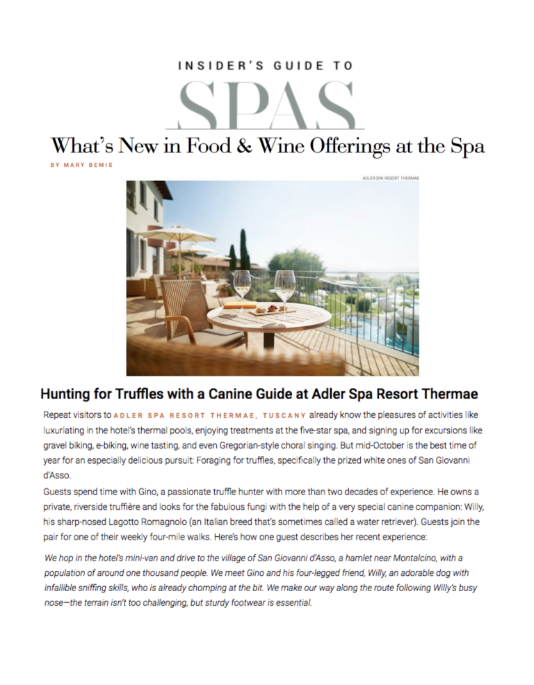 InsidersGuidetoSpas.com