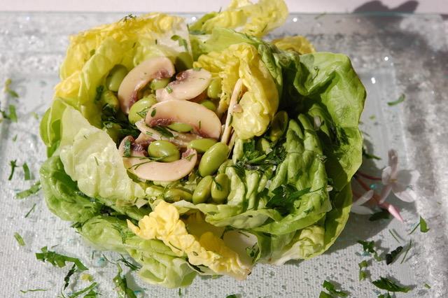 Citrusy Butter Lettuce and Edamame Salad with Fresh Herb Vinaigrette from Dahlia Haas