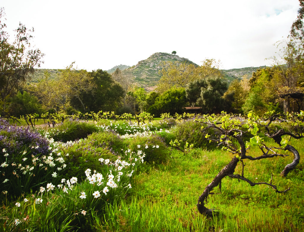 A Nurturing Abundance Week