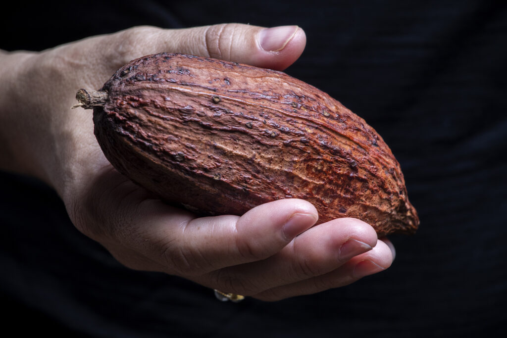 The Health Benefits of Cacao