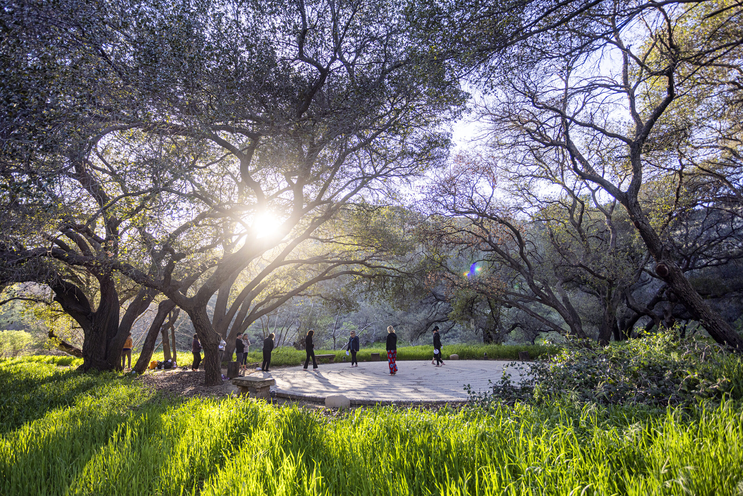 Establishing Peace as a Discipline 